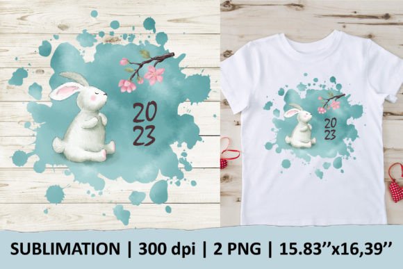 Rabbit 2023 for Chenes New Year